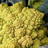Vitamina K ? Si, grazie !